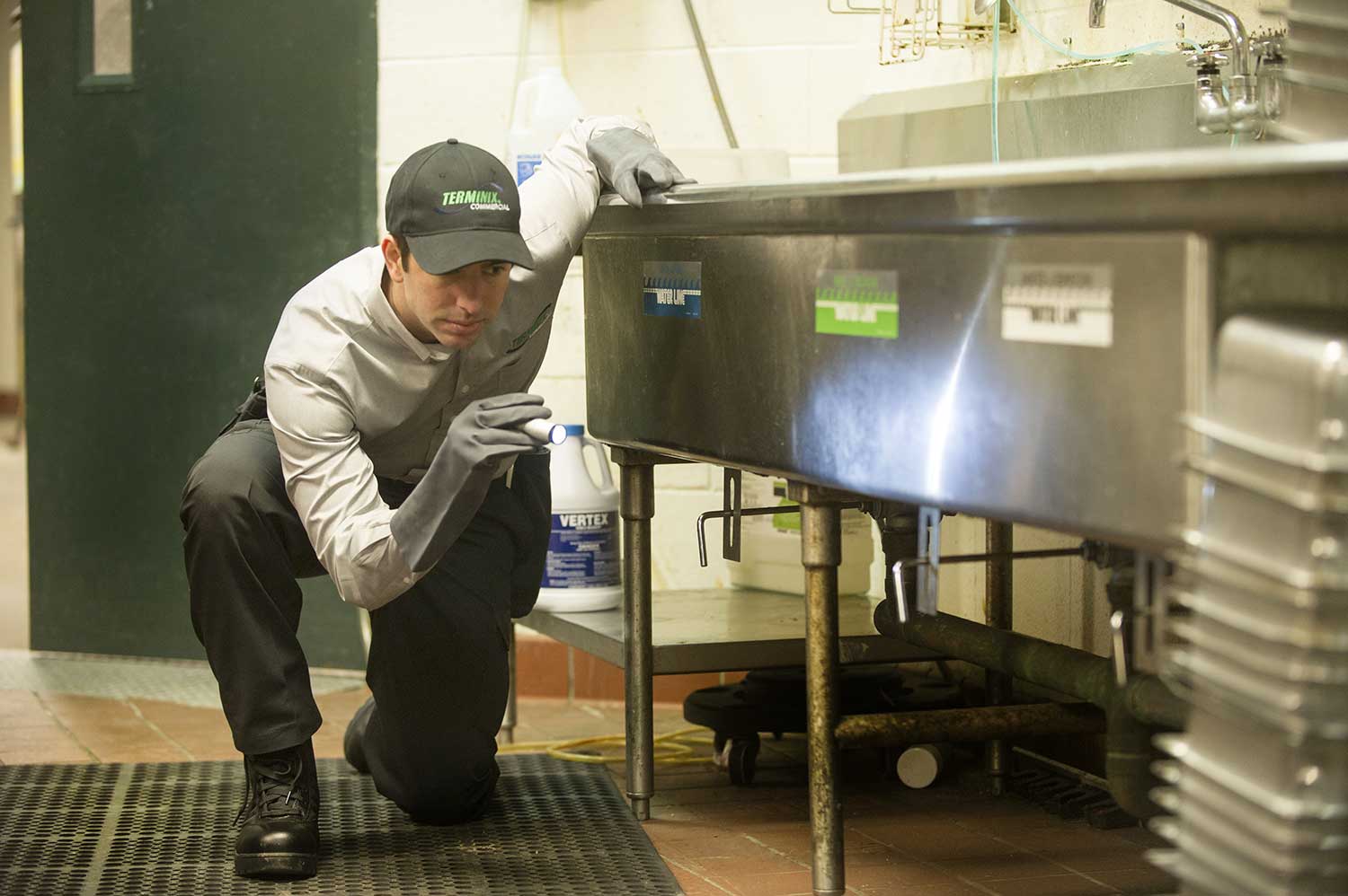commercial-pest-control