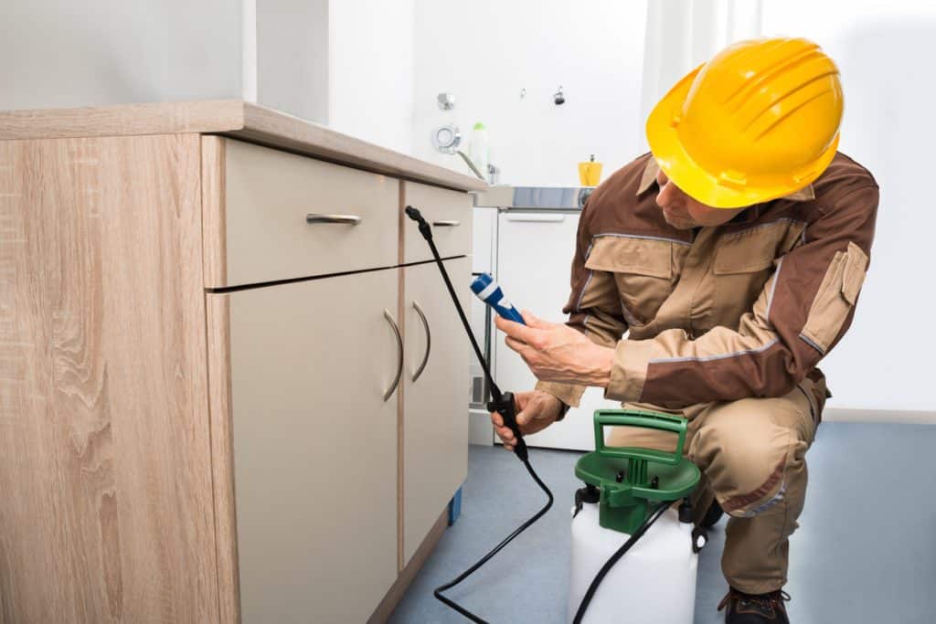 Pest control Loius Metro