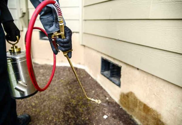 all-solutions-pest-control