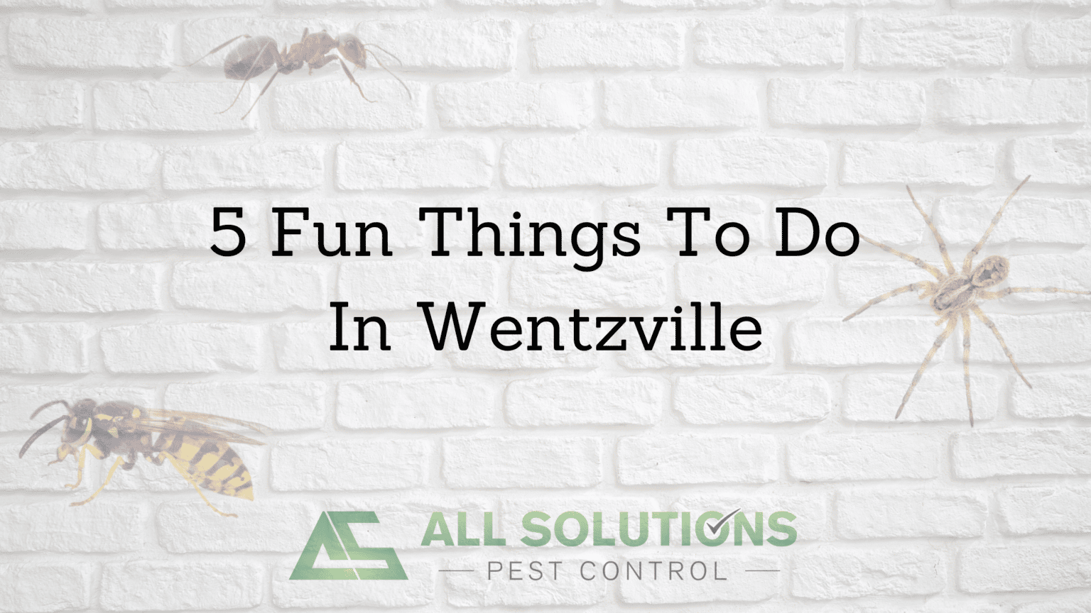 5 Fun Things to do in Wentzville MO in the Summer All Solutions Pest
