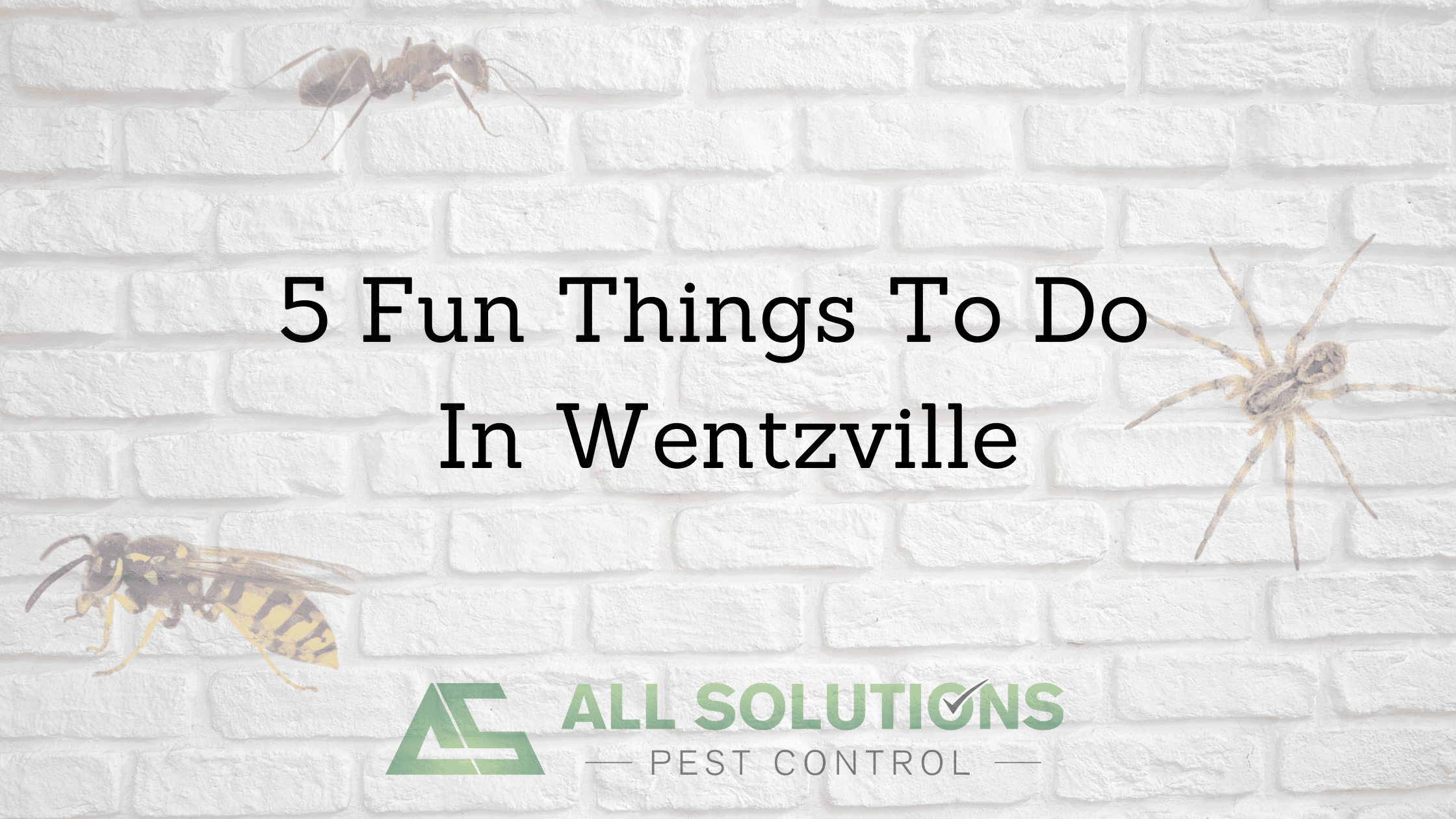 5 Fun Things to do in Wentzville MO in the Summer - All Solutions Pest  Control