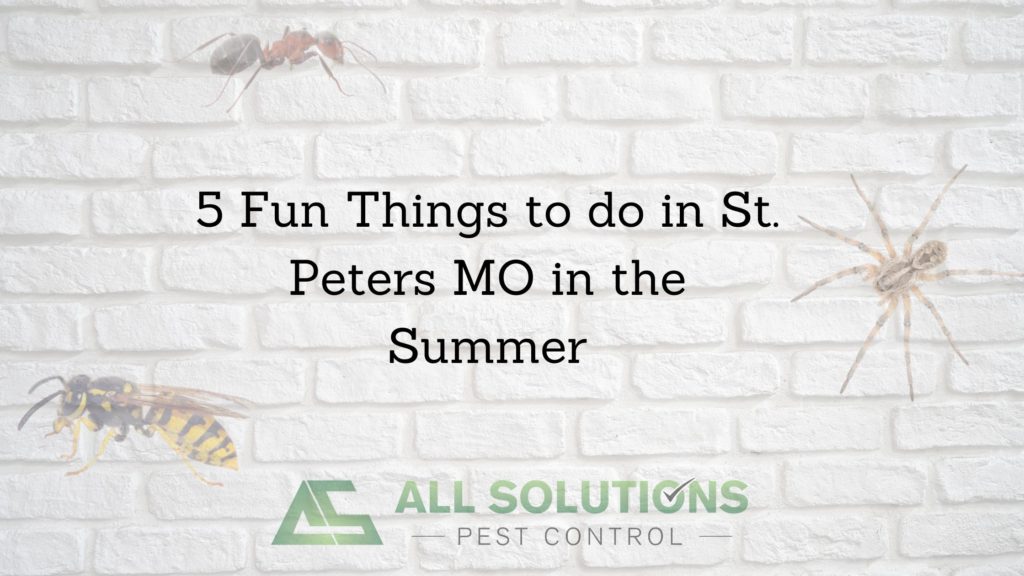 Five Fun Things to do in St. Peters MO in the Summer