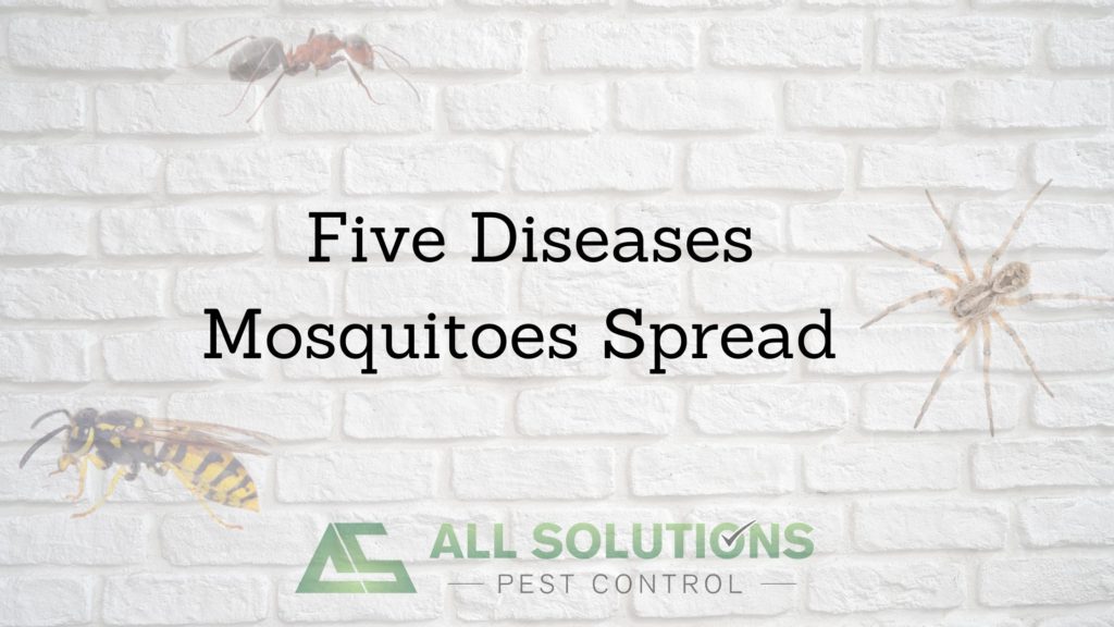 Mosquito Diseases in St. Pters