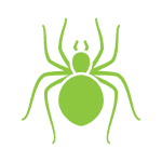 Spider Control Chesterfield MO