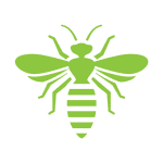 Wasp Control Manchester MO