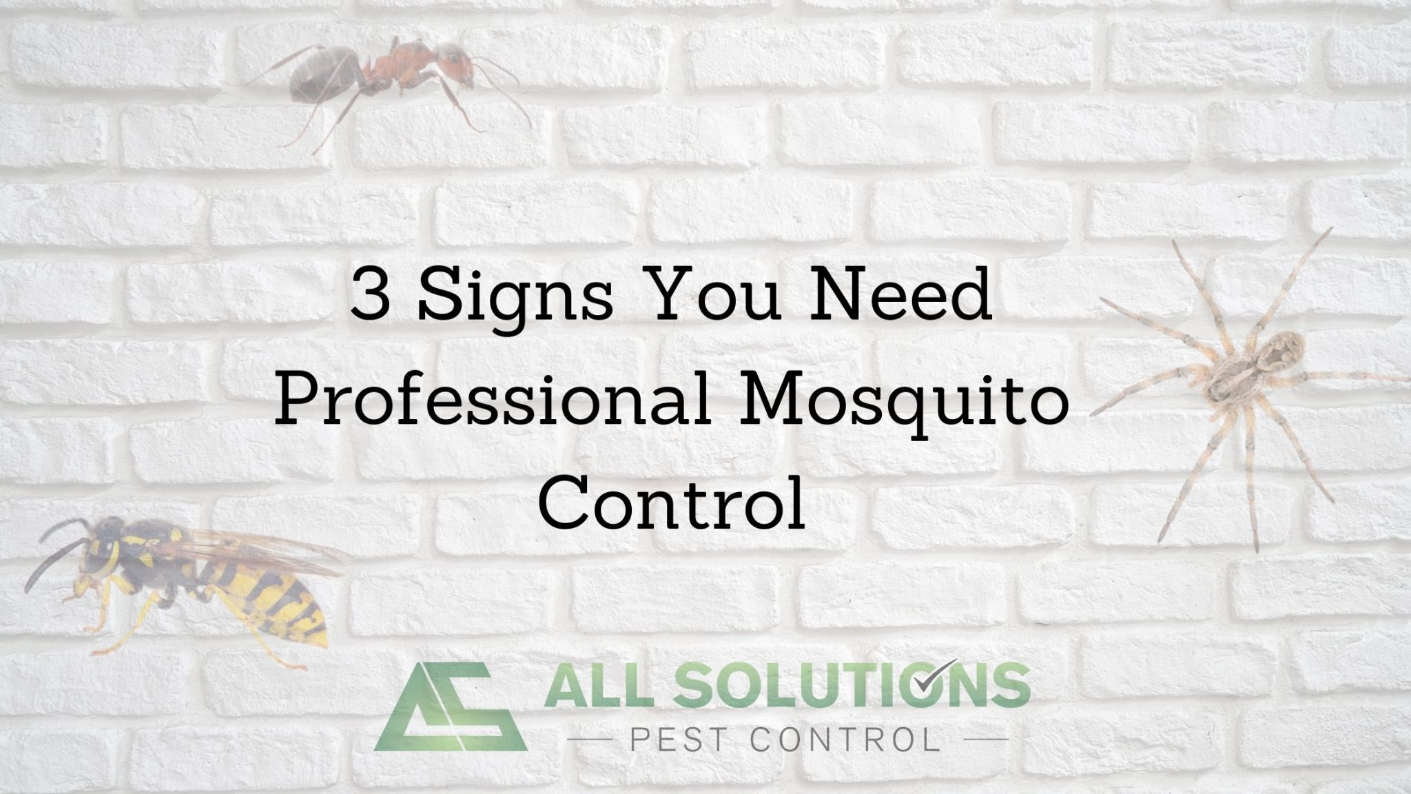 3 Signs You Need Professional Mosquito Control All Solutions Pest Control