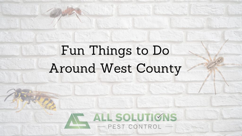 Fun Things to Do Around West County