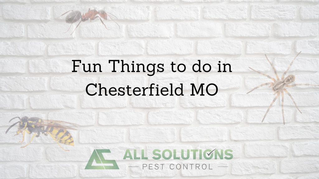 Fun Things to do in Chesterfield MO