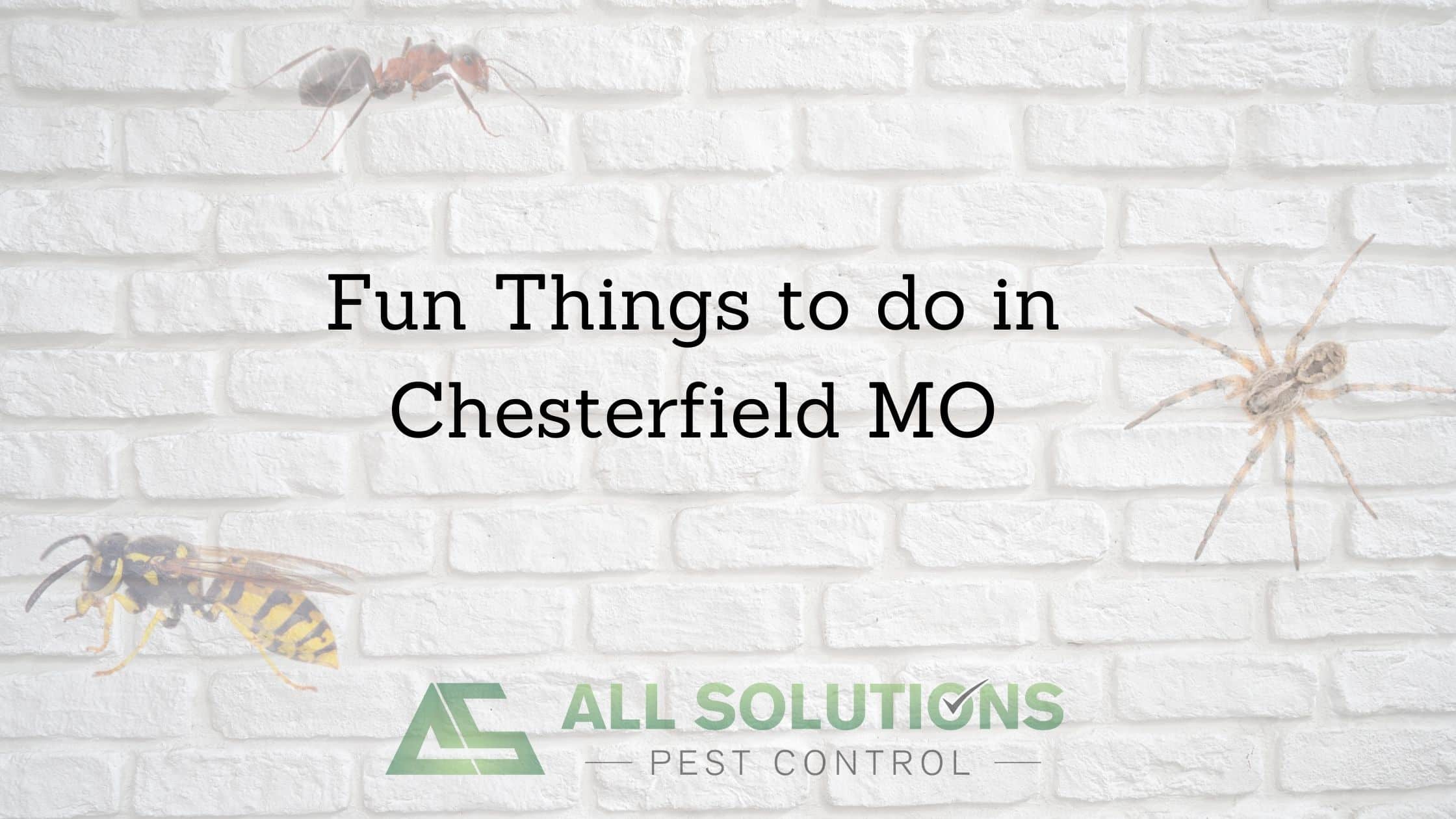 Fun Things To Do In Chesterfield MO All Solutions Pest Control