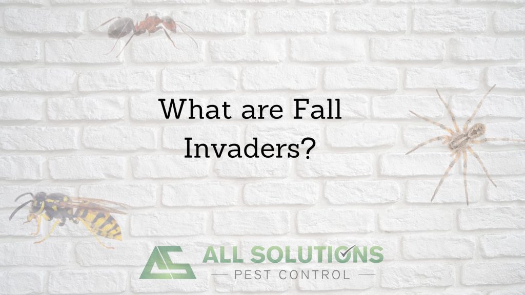 Fall Pest Invaders Missouri