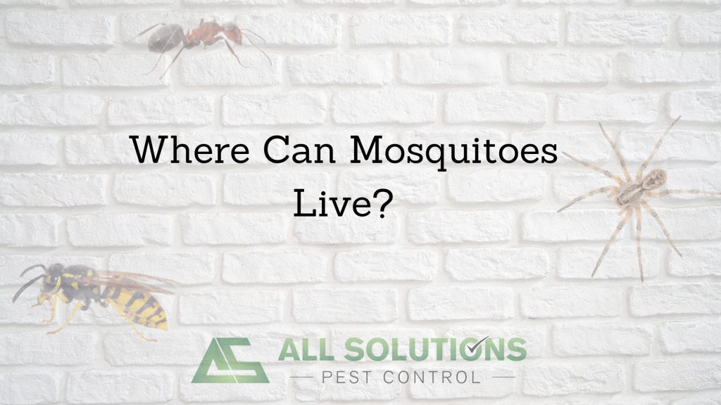 Where Can Mosquitoes Live?