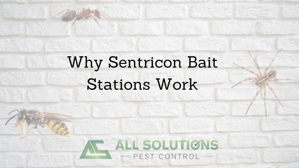 Termite Bait Stations Work