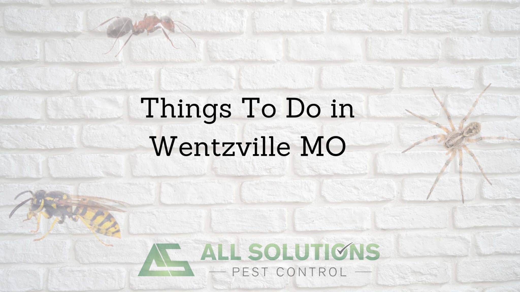 Things To Do in Wentzville MO All Solutions Pest Control