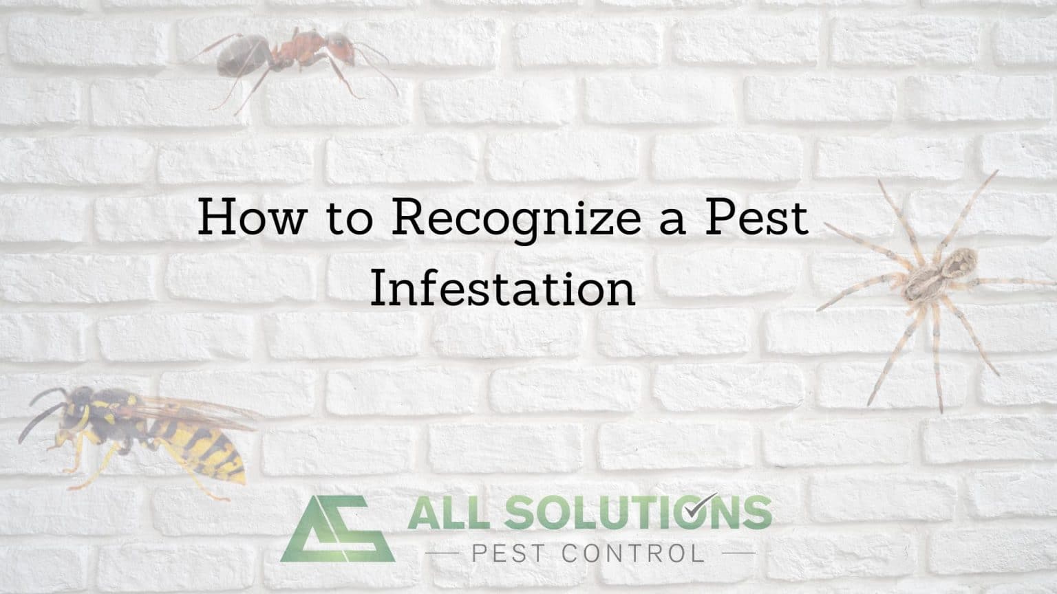Cool Johnson Pest Control Gallery