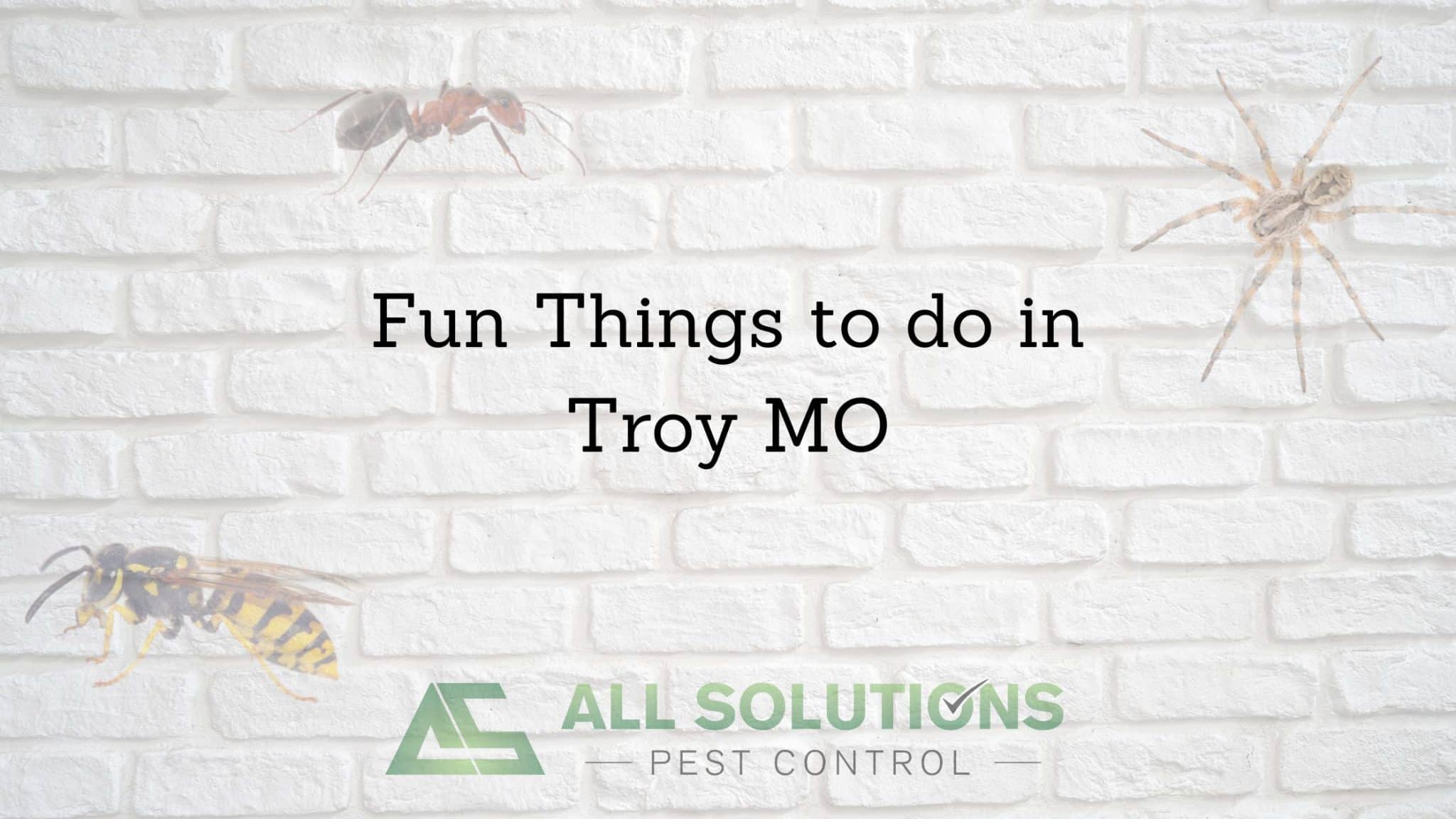 fun-things-to-do-in-troy-mo-all-solutions-pest-control