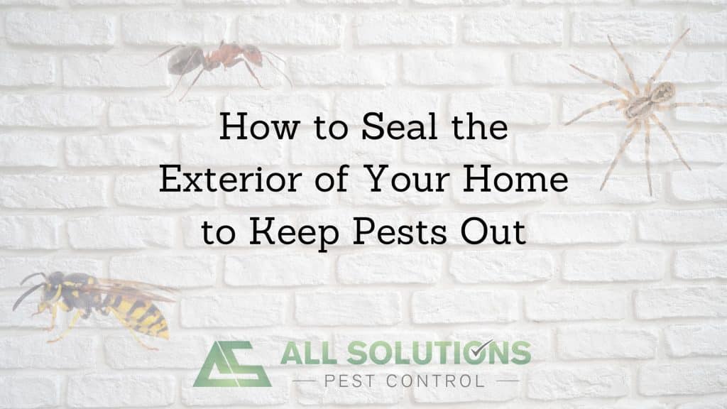 How to Seal the Exterior of Your Home to Keep Pests Out
