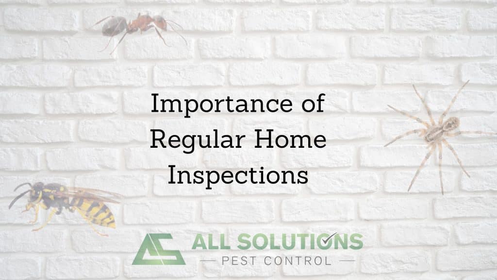 Importance of Regular Home Inspections