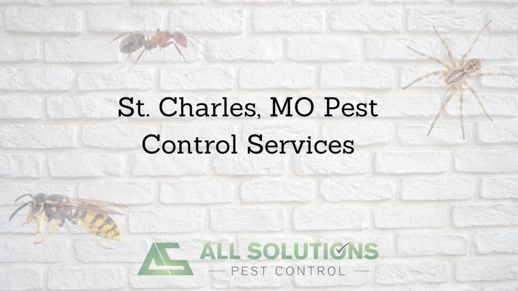 St. Charles MO Pest Control Services