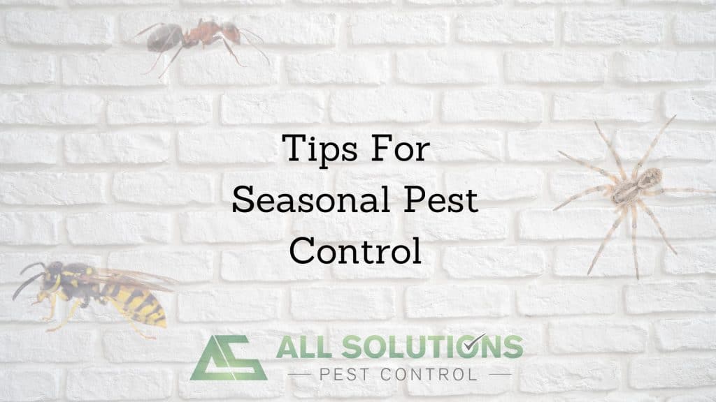 Tips For Season Pest Control
