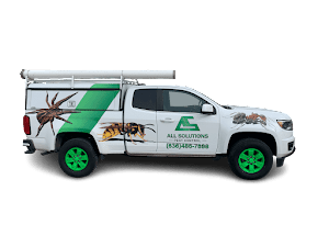 All Solutions Pest Control