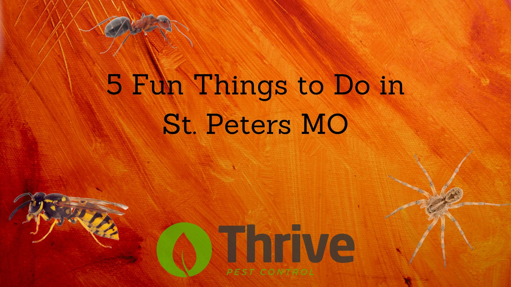 5 Fun Things to Do in St. Peters MO All Solutions Pest Control