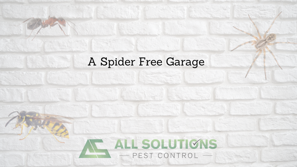 A Spider Free Garage