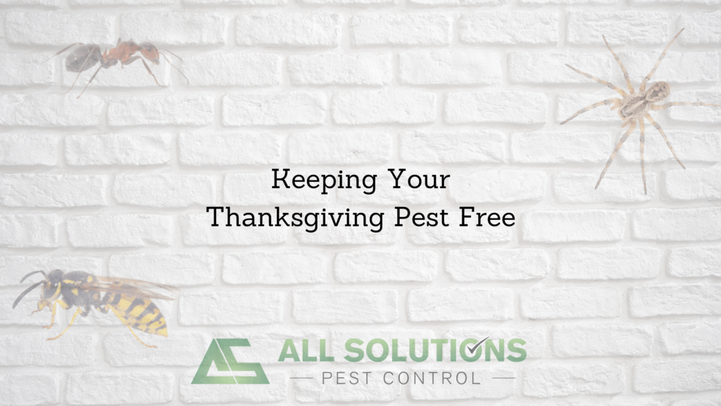 Keeping Your Thanksgiving Pest Free