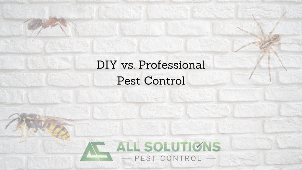 DIY vs professional pest control