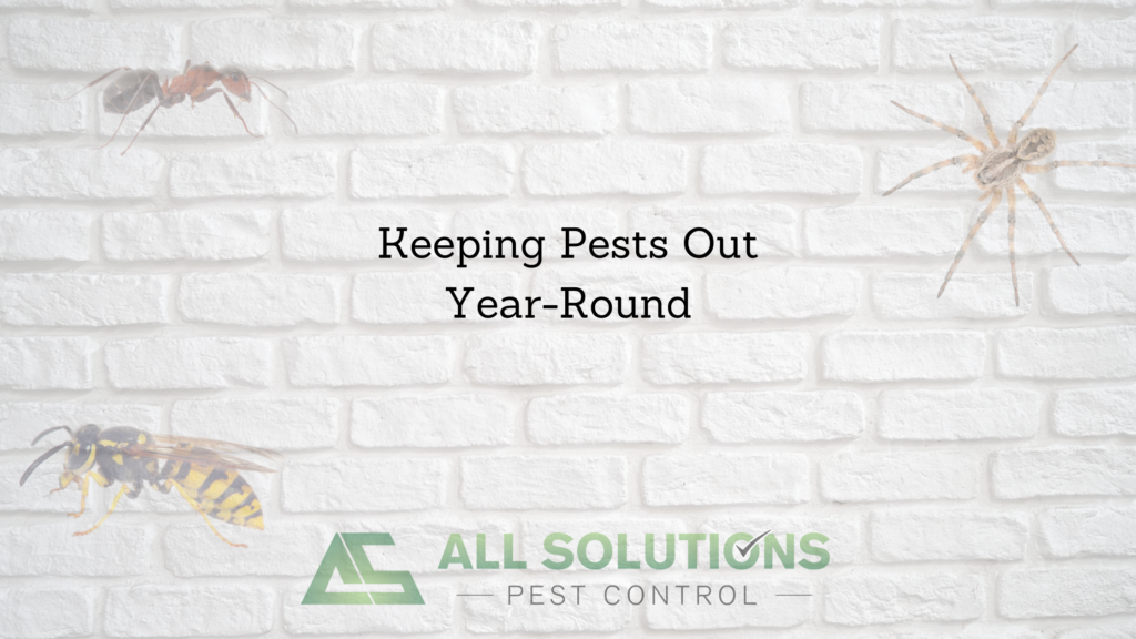 Keeping pests out year round