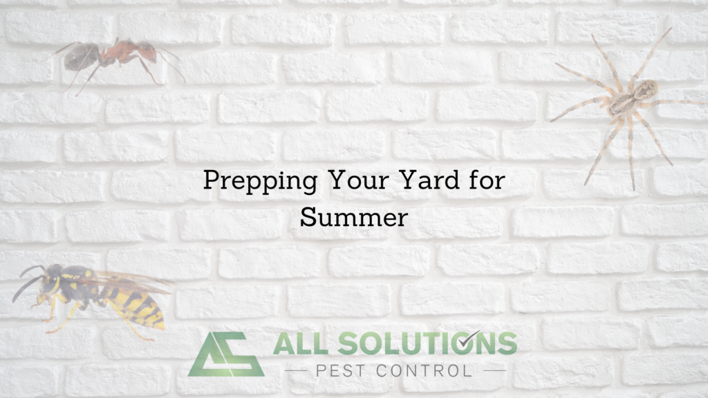 Prepping your yard for Summer