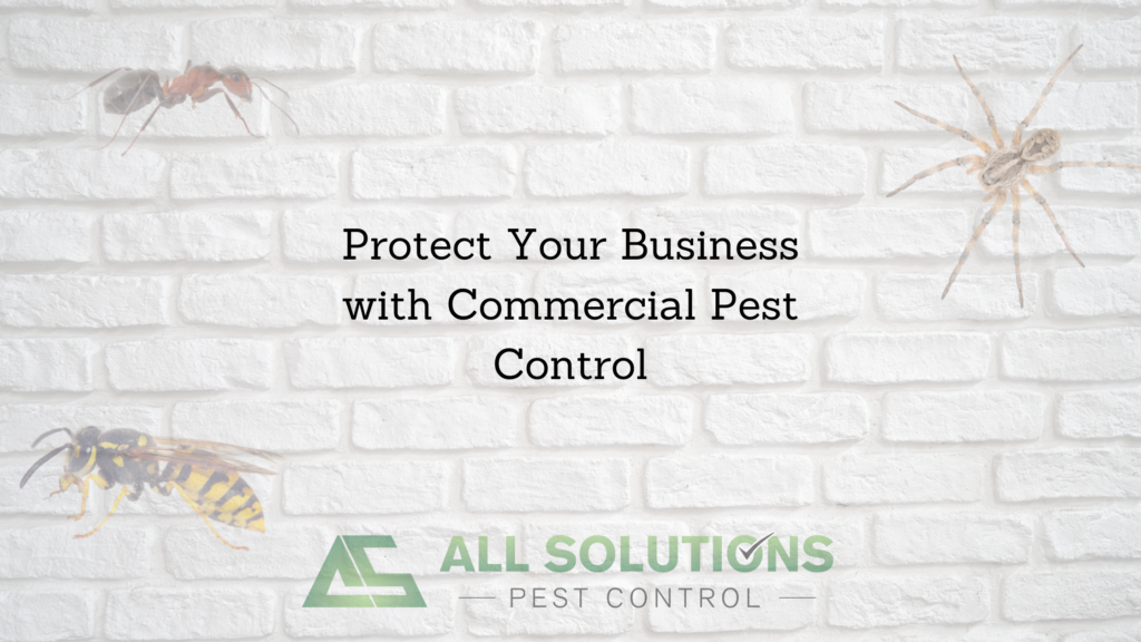 Protect Your Business with Commercial Pest Control