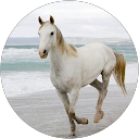 William Behr profile picture