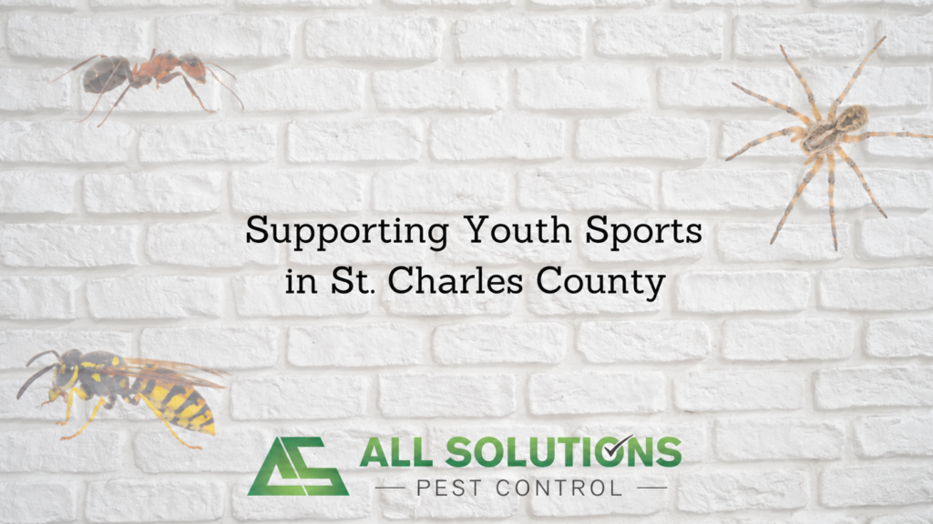 All Solution pest control sponsors local youth teams