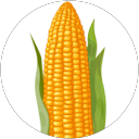 Katie Harris profile picture