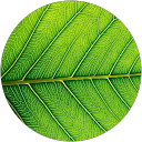 A. Arnold profile picture